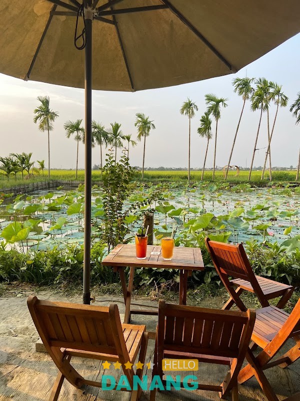 Sen House Garden Coffee & Tea – hình ảnh 2