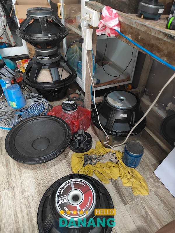 Triều sửa loa – hình ảnh 3