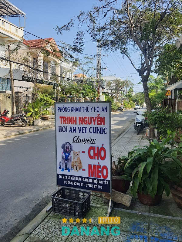 Trinh Nguyễn Hội An