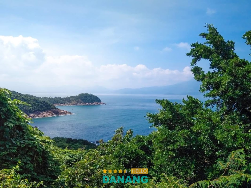 Không gian xanh tại Suối Ôm