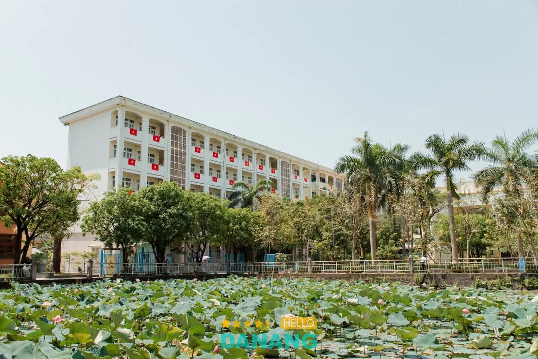 Trường Đại học Sư phạm - Đại học Đà Nẵng hình ảnh 3